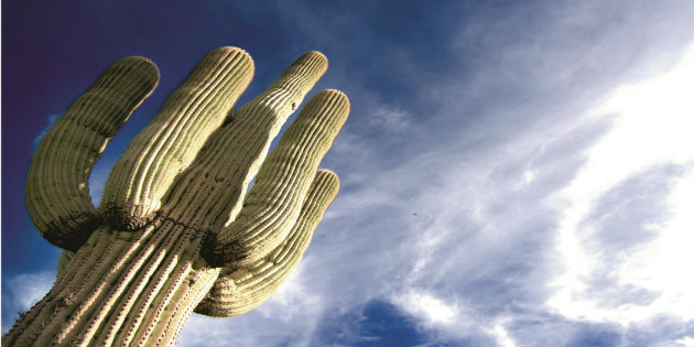 AudiologyNOW! 2016 in the desert AudiologyNOW! 2016 in the desert
