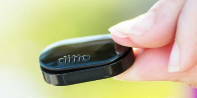Ditto: universal wearable notifier