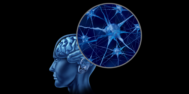 New study in mice: even short-term hearing impairment changes neurotransmitters New study in mice: even short-term hearing impairment changes neurotransmitters