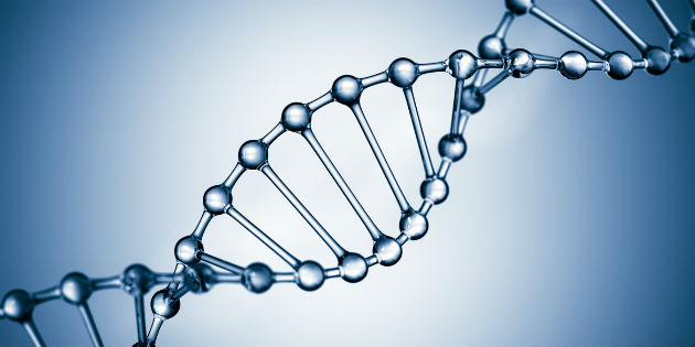 Founder population genetics research in Newfoundland Founder population genetics research in Newfoundland