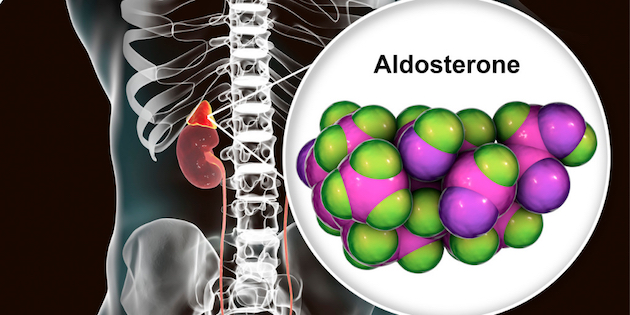 Aldosterone hormone fix for age-related hearing loss nears marketplace