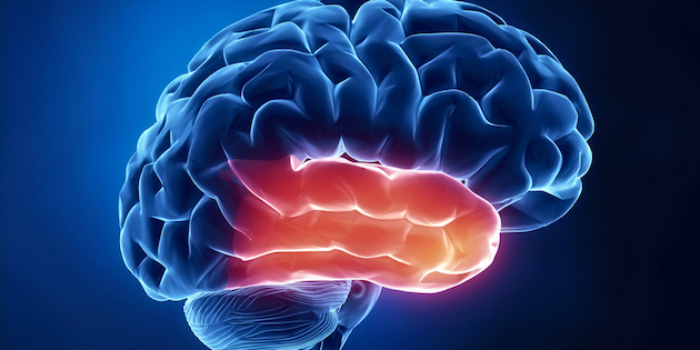 AI breakthrough brings objective tinnitus diagnosis within reach AI breakthrough brings objective tinnitus diagnosis within reach