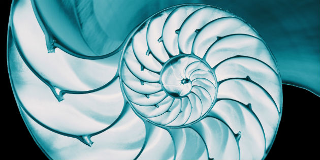New research shows benefits of drug-releasing electrodes for cochlear implant recipients New research shows benefits of drug-releasing electrodes for cochlear implant recipients