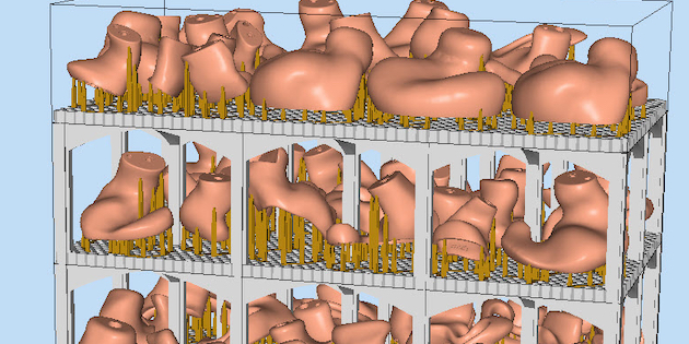 DIY 3D-printing earmould production is a growing EU trend says Swiss software company behind Secret Ear Builder