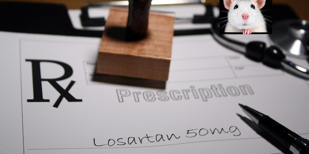 Hypertension drug losartan may prevent tumour-induced hearing loss, say US researchers