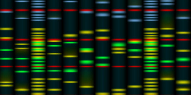 Advances in the genetics of tinnitus via the mouse model