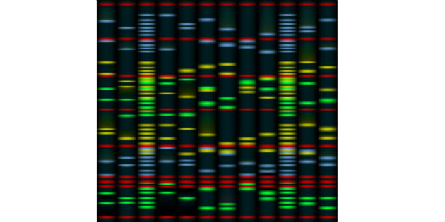 Trojan horse gene delivery to repair congenital hearing loss