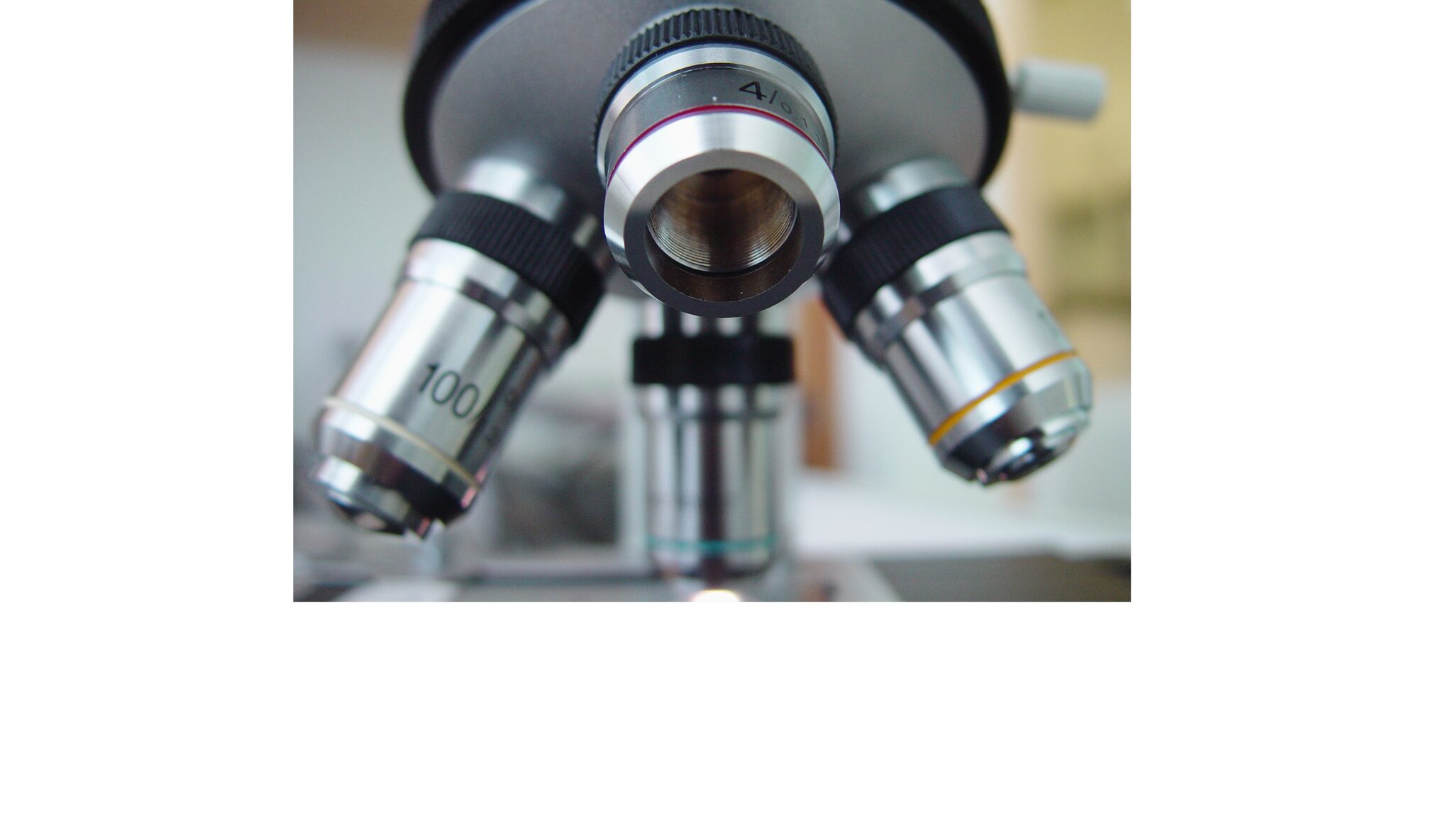 New diagnostic tool to identify tinnitus in animals New diagnostic tool to identify tinnitus in animals